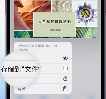 富县apple维修中心分享iPhone文件应用中存储和找到下载文件