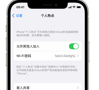 富县apple服务站点分享iPhone上个人热点丢失了怎么办 