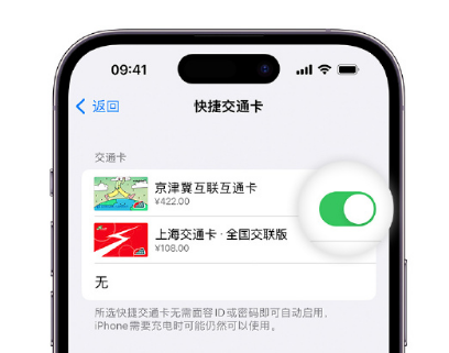 富县apple维修点分享iPhone上更换Apple Pay快捷交通卡手绘卡面 