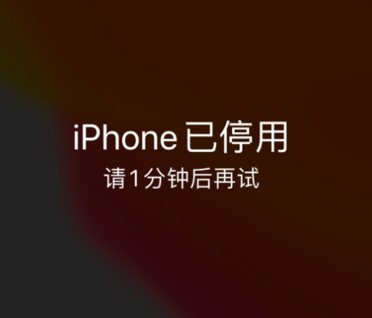 富县苹果手机维修分享:iPhone 显示“不可用”或“已停用”怎么办？还能保留数据吗？ 