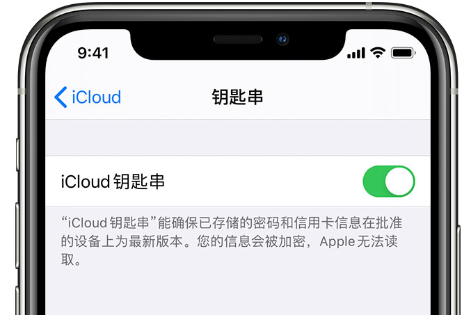 富县苹果手机维修分享在 iPhone 上开启 iCloud 钥匙串之后会储存哪些信息 