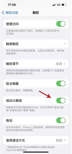 富县苹果手机维修分享iPhone手机如何设置摇一摇删除文字 